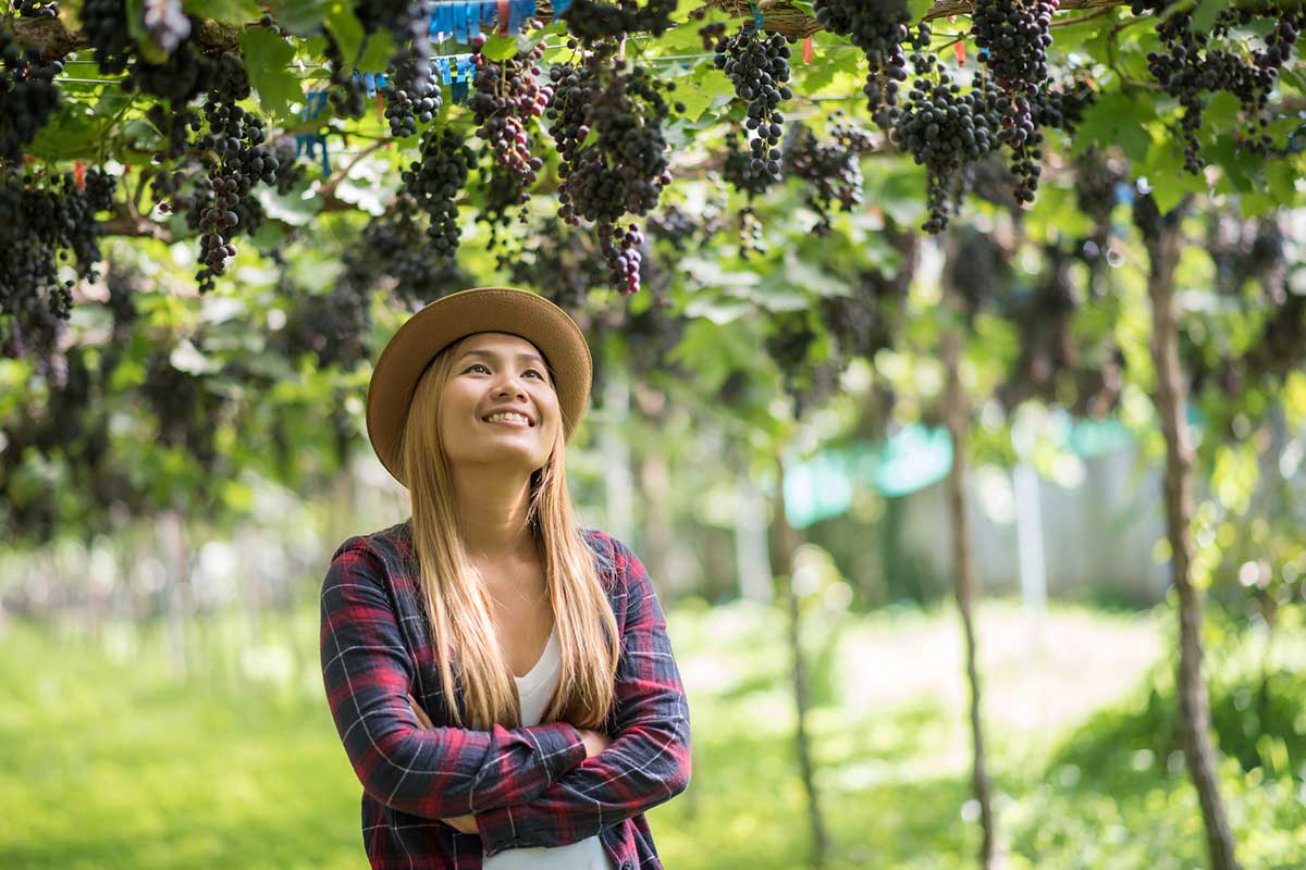 Imagem de uma garrafa de vinho argentino disponível na Vinoteca Prime.