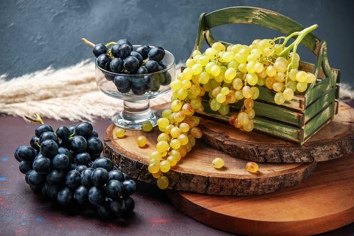 Imagem de uma garrafa de vinho argentino disponível na Vinoteca Prime.